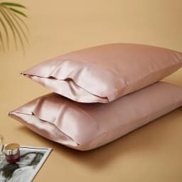 DISANGNI 22 Momme 100% Natural Mulberry Silk Pillowcases for Hair and Skin, Double-Sided Pure Silk with Envelope Closure, 2 Pack