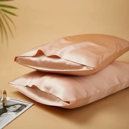 DISANGNI 22 Momme 100% Natural Mulberry Silk Pillowcases for Hair and Skin, Double-Sided Pure Silk with Envelope Closure, 2 Pack