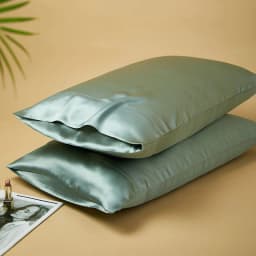 DISANGNI 22 Momme 100% Natural Mulberry Silk Pillowcases for Hair and Skin, Double-Sided Pure Silk with Envelope Closure, 2 Pack