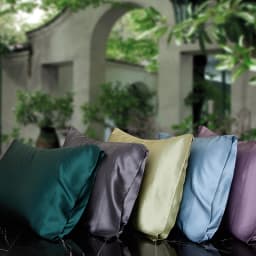 DISANGNI 22 Momme 100% Natural Mulberry Silk Pillowcases for Hair and Skin, Double-Sided Pure Silk with Envelope Closure, 2 Pack