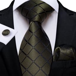 Dark Green Ties for Men Striped Paisley Floral Wedding Party Formal Necktie Handkerchief Cufflinks Gift Dropship