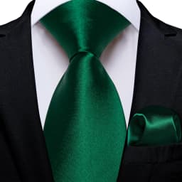 Dark Green Ties for Men Striped Paisley Floral Wedding Party Formal Necktie Handkerchief Cufflinks Gift Dropship
