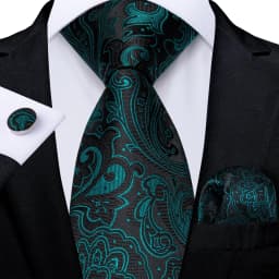 Dark Green Ties for Men Striped Paisley Floral Wedding Party Formal Necktie Handkerchief Cufflinks Gift Dropship