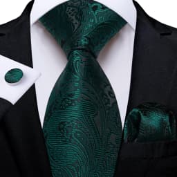 Dark Green Ties for Men Striped Paisley Floral Wedding Party Formal Necktie Handkerchief Cufflinks Gift Dropship