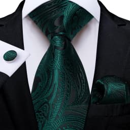 Dark Green Ties for Men Striped Paisley Floral Wedding Party Formal Necktie Handkerchief Cufflinks Gift Dropship