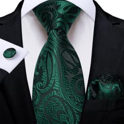 Dark Green Ties for Men Striped Paisley Floral Wedding Party Formal Necktie Handkerchief Cufflinks Gift Dropship