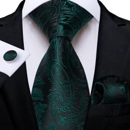 Dark Green Ties for Men Striped Paisley Floral Wedding Party Formal Necktie Handkerchief Cufflinks Gift Dropship