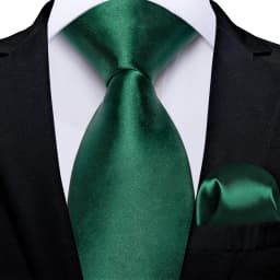 Dark Green Ties for Men Striped Paisley Floral Wedding Party Formal Necktie Handkerchief Cufflinks Gift Dropship