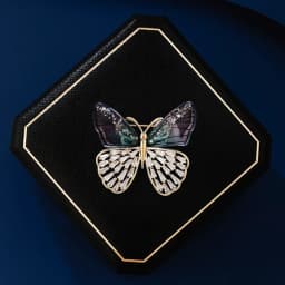 Baroque Luxury Beautiful Butterfly and Insect Design Brooches for Men and Women, Jewelry, Fashion Accessories, and Party Gifts