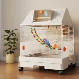 Luxury Feeder Bird Cages Houses Goods Flight Indoor Breeding Canaries Bird Cages Goldfinch Wheels Gaiola Calopsita Pet Furniture