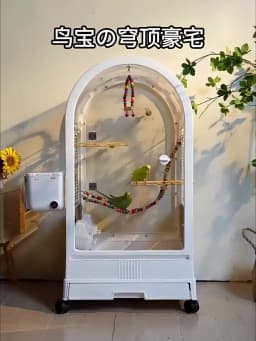 Luxury Feeder Bird Cages Houses Goods Flight Indoor Breeding Canaries Bird Cages Goldfinch Wheels Gaiola Calopsita Pet Furniture