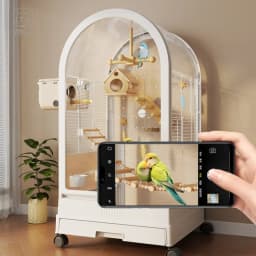 Luxury Feeder Bird Cages Houses Goods Flight Indoor Breeding Canaries Bird Cages Goldfinch Wheels Gaiola Calopsita Pet Furniture
