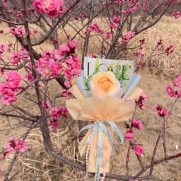 Stuffed Animals Creative Handmade Bouquet Christmas Birthday Gifts