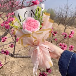 Stuffed Animals Creative Handmade Bouquet Christmas Birthday Gifts
