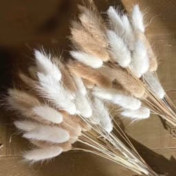 60pcs Dried Flowers Rabbit Bunny Tails Grass Mix Bouquets Wedding Party Decoration Natural Fluffy Lagurus Ovatus Boho Home Decor