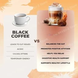 Organic Mushroom Coffee Powder Contain 6 Types Adaptogenic Mushrooms Extract MCT Oil Brewing Use Smooth Daily Beverage Support