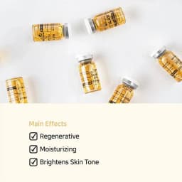 Korea 8ml Salmon DNA Gold Skin Booster Essence BB Cream Kit Moisturizing Nourishing Whitening Face Beauty SkinCare
