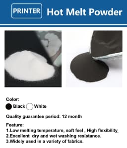 1000g 1kg DTF Powder Fine Powder Fro Assisted DTF Film DTF Ink Transfer Printing T-Shirts Clothes Shoes Fabric Transfer Printing