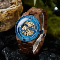 Luxury Fashion Men's Watches with Automatic Movement Mechanical Wrist Watches from BOBO BIRD the Hottest Gifts for Father's Day