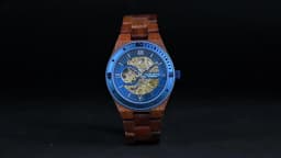 Luxury Fashion Men's Watches with Automatic Movement Mechanical Wrist Watches from BOBO BIRD the Hottest Gifts for Father's Day