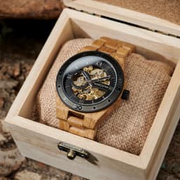 Luxury Fashion Men's Watches with Automatic Movement Mechanical Wrist Watches from BOBO BIRD the Hottest Gifts for Father's Day