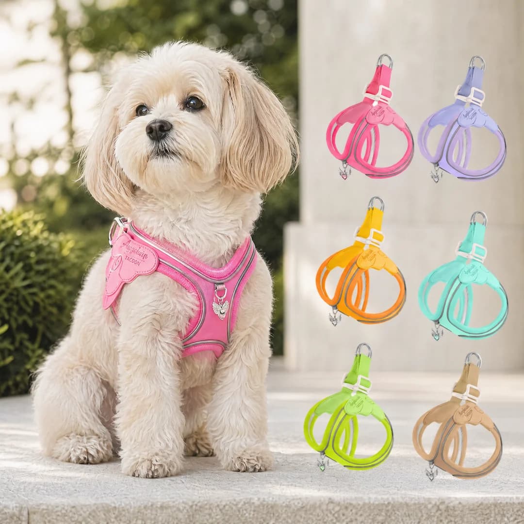 Eye Shape Dog Harness and Leash Set for Small Dogs,Cute Fashion Puppy Walking Vest, Reflective Adjustable Pet Harness for Daily