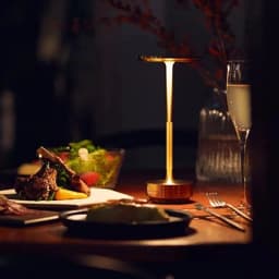 Aluminum Alloy Simple Decorative Lamp LED Night Light Infinitely Dimmable Atmosphere Retro Portable Rechargeable Touch Desk Lamp