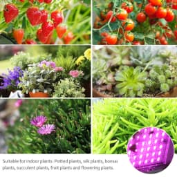 Led Grow Light 50W 100W 150W 220V Outdoor Full Spectrum LED Plant Growth Lamp Led Spotlight Projector Streetlight Led Floodlight
