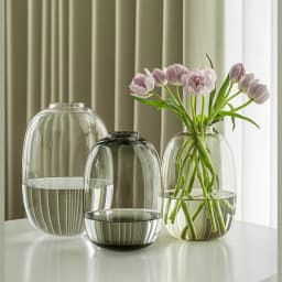 Modern Nordic Oval Glass Vase Hydroponic Fresh Flower Vase Living Room Flower Arrangement Decoration Elegant Home Decor