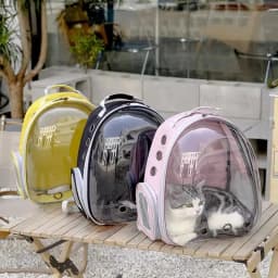 Cat Pet Carrier Backpack - Transparent Capsule Bubble Design, Breathable for Small Animals (Puppy/Kitty/Bird), Ideal for Travel