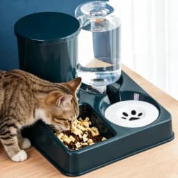 Automatic Cat Feeder Water Dispenser Set, 2 In 1 Tilted Automatic Pet Food And Water Feeder Gravity Food Feeder and Waterer