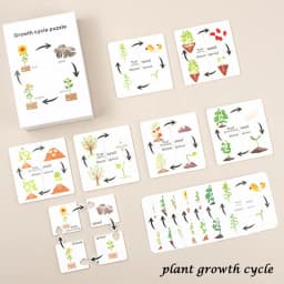 Children Simulation Biology Model Toy Animal Plant Life Growth Cycle Montessori Children Toys Set Teaching Aids Educational Toys