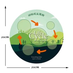 Children Simulation Biology Model Toy Animal Plant Life Growth Cycle Montessori Children Toys Set Teaching Aids Educational Toys