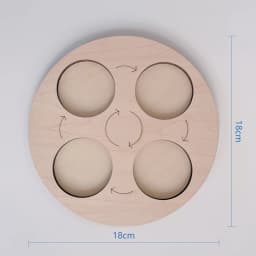 Children Simulation Biology Model Toy Animal Plant Life Growth Cycle Montessori Children Toys Set Teaching Aids Educational Toys