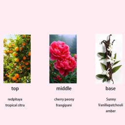 Luxury Butterfly Eau De Toilette 35ml Rose Jasmine Vanilla Long-lasting Floral Body Spray Calm Charming Suitable For Dating New