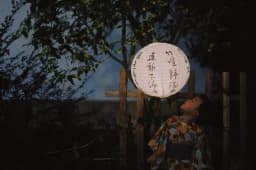1pc 40cm 16" Plum Blossom Blue Porcelain Bamboo Printed Chinese Round Paper Lantern Wedding Xmas Party Decor Hanging Paper Ball