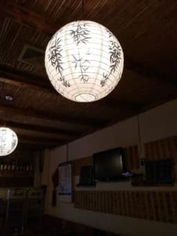 1pc 40cm 16" Plum Blossom Blue Porcelain Bamboo Printed Chinese Round Paper Lantern Wedding Xmas Party Decor Hanging Paper Ball