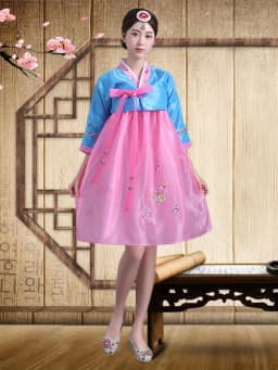 Embroidered Short Korean Traditional Costume Women's Dance Performance Clothes  Ethnic Group Large Long Jin Outfits