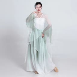 Elegant Ancient Chinese Style Dance Costume Women's Flowing Shawl Practice Suit Performance Gown Stage Outfit Folk Dance