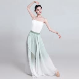 Elegant Ancient Chinese Style Dance Costume Women's Flowing Shawl Practice Suit Performance Gown Stage Outfit Folk Dance