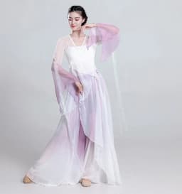Elegant Ancient Chinese Style Dance Costume Women's Flowing Shawl Practice Suit Performance Gown Stage Outfit Folk Dance