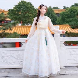 Half-Transparent Summer Costume Ladies' Court Dance Clothes Korean Traditional Clothes Ancient Photography Costume Hanfu