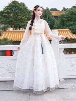 Half-Transparent Summer Costume Ladies' Court Dance Clothes Korean Traditional Clothes Ancient Photography Costume Hanfu