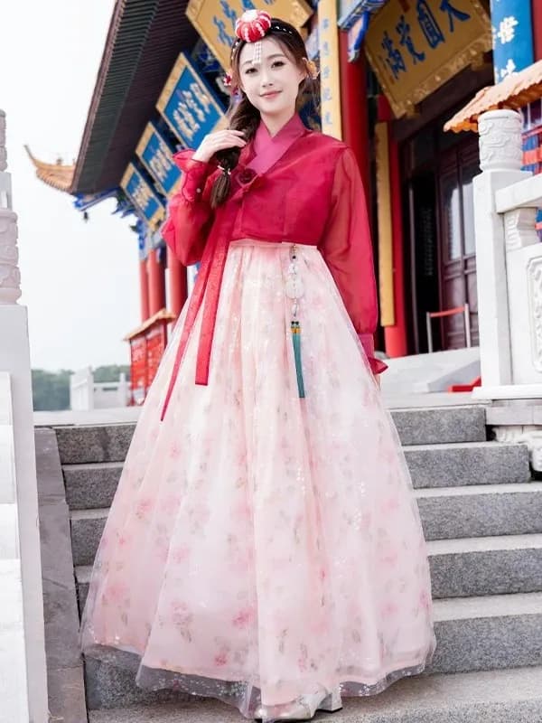 Half-Transparent Summer Costume Ladies' Court Dance Clothes Korean Traditional Clothes Ancient Photography Costume Hanfu