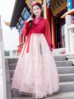 Half-Transparent Summer Costume Ladies' Court Dance Clothes Korean Traditional Clothes Ancient Photography Costume Hanfu