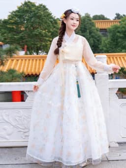 Half-Transparent Summer Costume Ladies' Court Dance Clothes Korean Traditional Clothes Ancient Photography Costume Hanfu