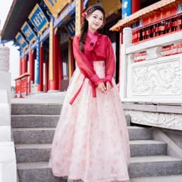 Half-Transparent Summer Costume Ladies' Court Dance Clothes Korean Traditional Clothes Ancient Photography Costume Hanfu