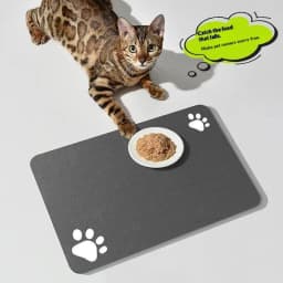 .Diatomaceous Mud Absorbent Pet Placemat For Food And Water Bowl With Waterproof Quick-Dry Rubber Backing Non-Slip Home Pet Mat