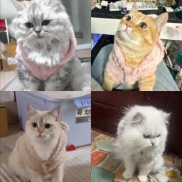 Soft Fleece Pet Dog Coat For Small Medium Dogs Cats Winter Warm Puppy Hoodie Sweater French Bulldog Jacket Chihuahua Clothes