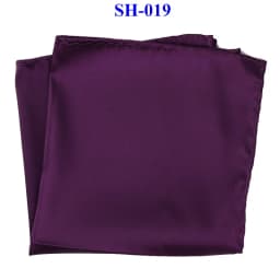 Tailor Smith 30x30cm Solid Colors Hankerchief Pocket Squares 31Colors Luxury Mens Silk Touch Soft Hankies Chest Towel